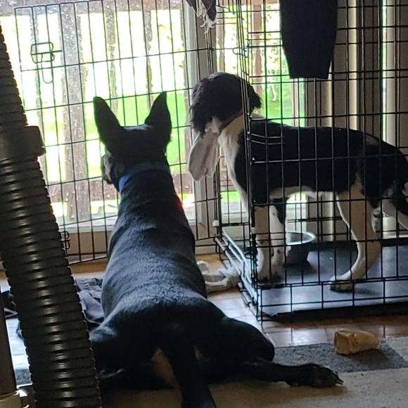 Meet your Posher, Melissa Addicted to Marc Jacobs! - Picture 5 of 15